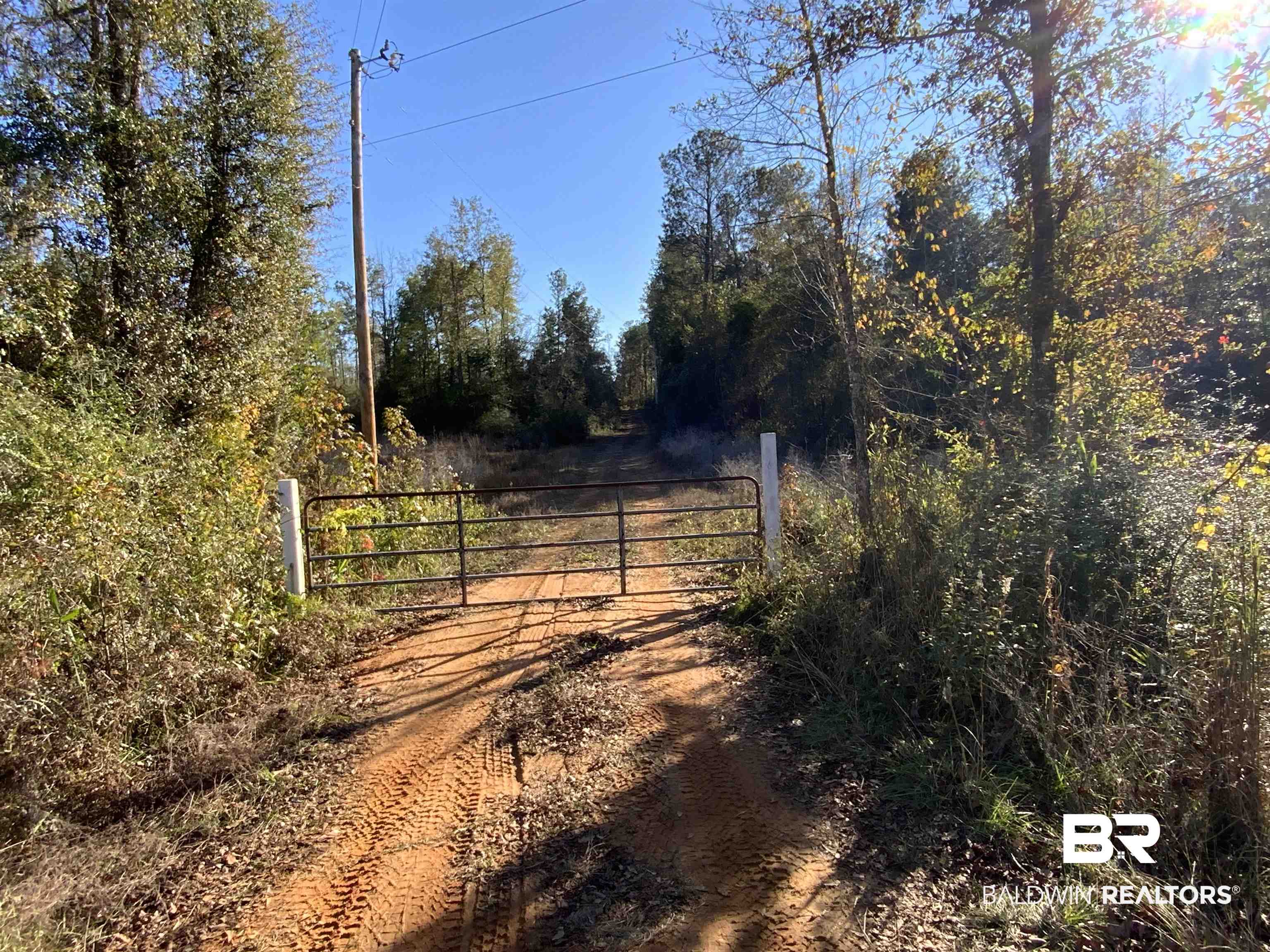 10 Drinkard Road Bay Minette, AL 36507 - Photo 13 of 16 View of dirt / gravel road featuring a gate and a gated entry