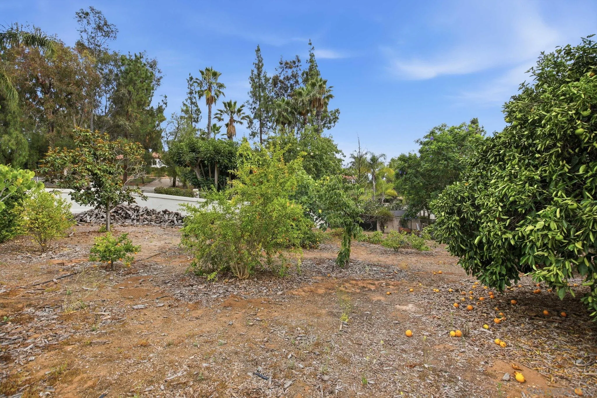 3548 Rosa Way Fallbrook, CA 92028 - Photo 53 of 74