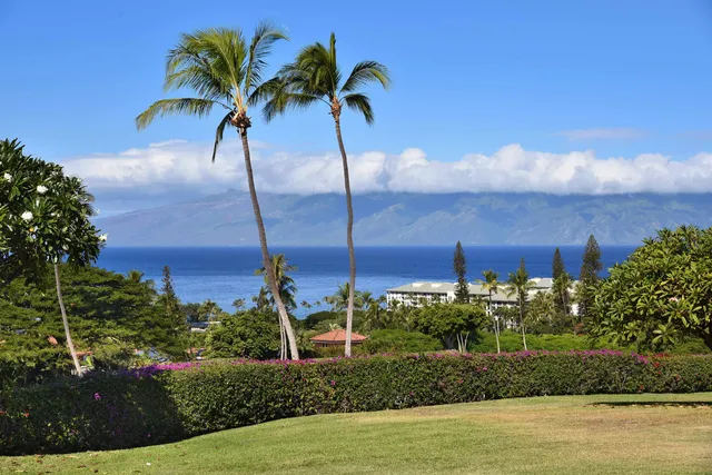a view of a palm trees in front of the house