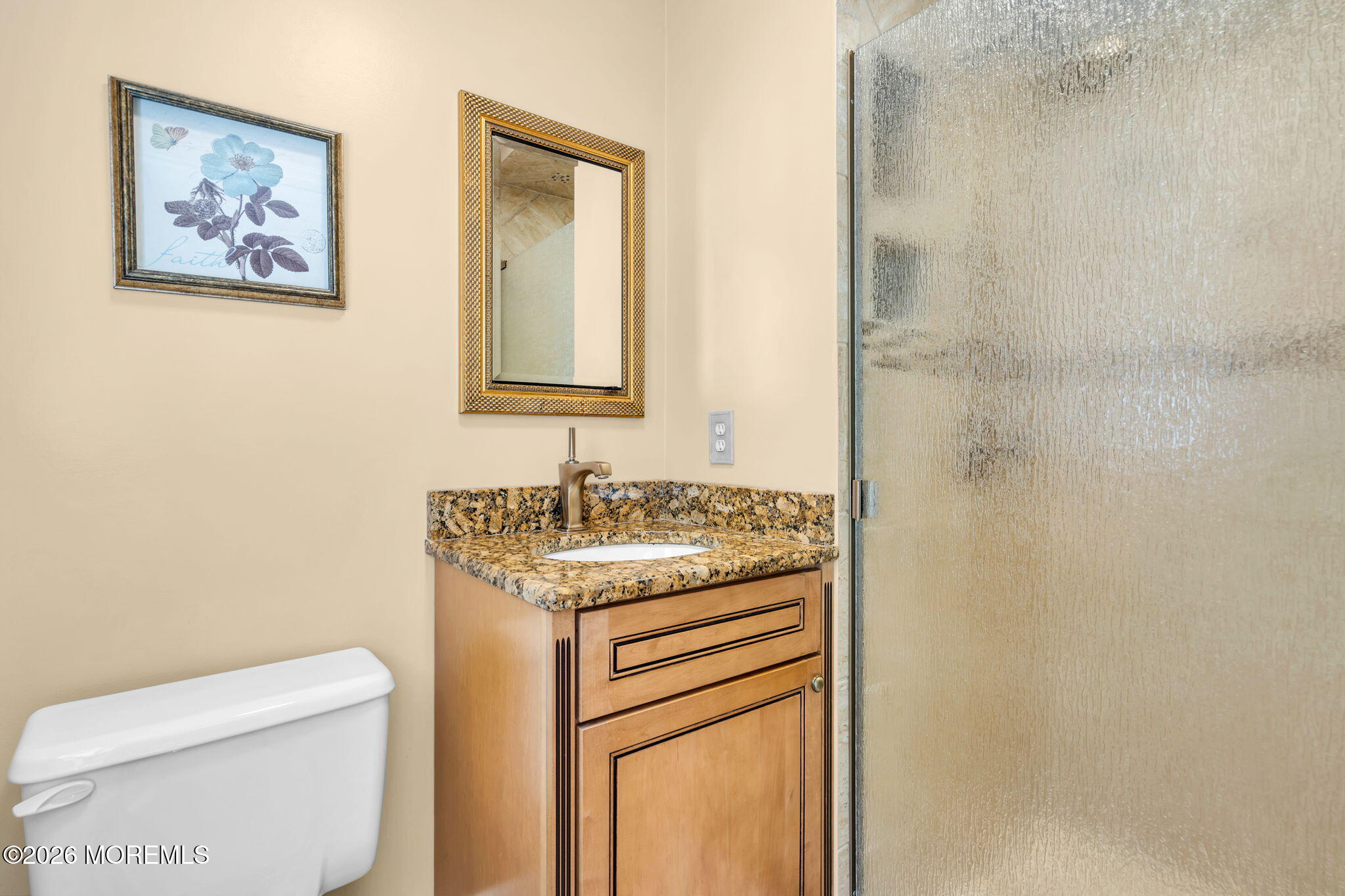 819 Harmony Road Jackson, NJ 08527 - Photo 45 of 83 50-web-or-mls-DSC08863