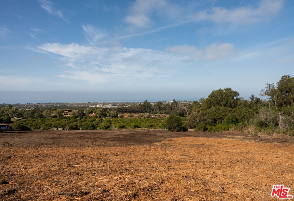 7 Monte Alegre Carpinteria, CA 93013 - Photo 16 of 23 a view of a field with trees in background