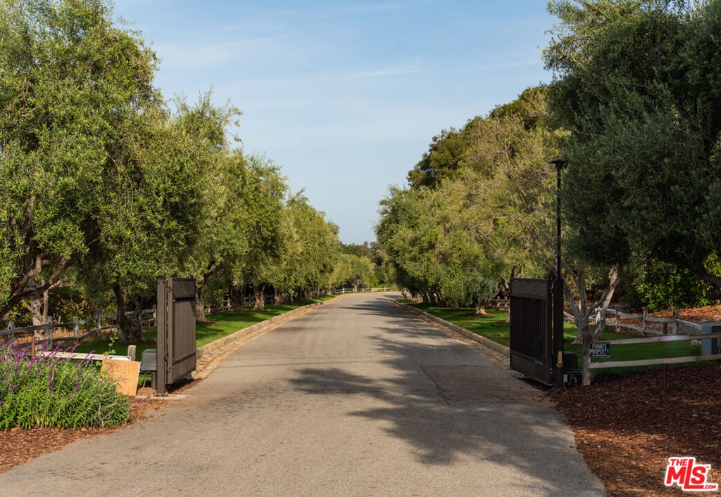7 Monte Alegre Carpinteria, CA 93013 - Photo 23 of 23 a view of a street with a tree in the background