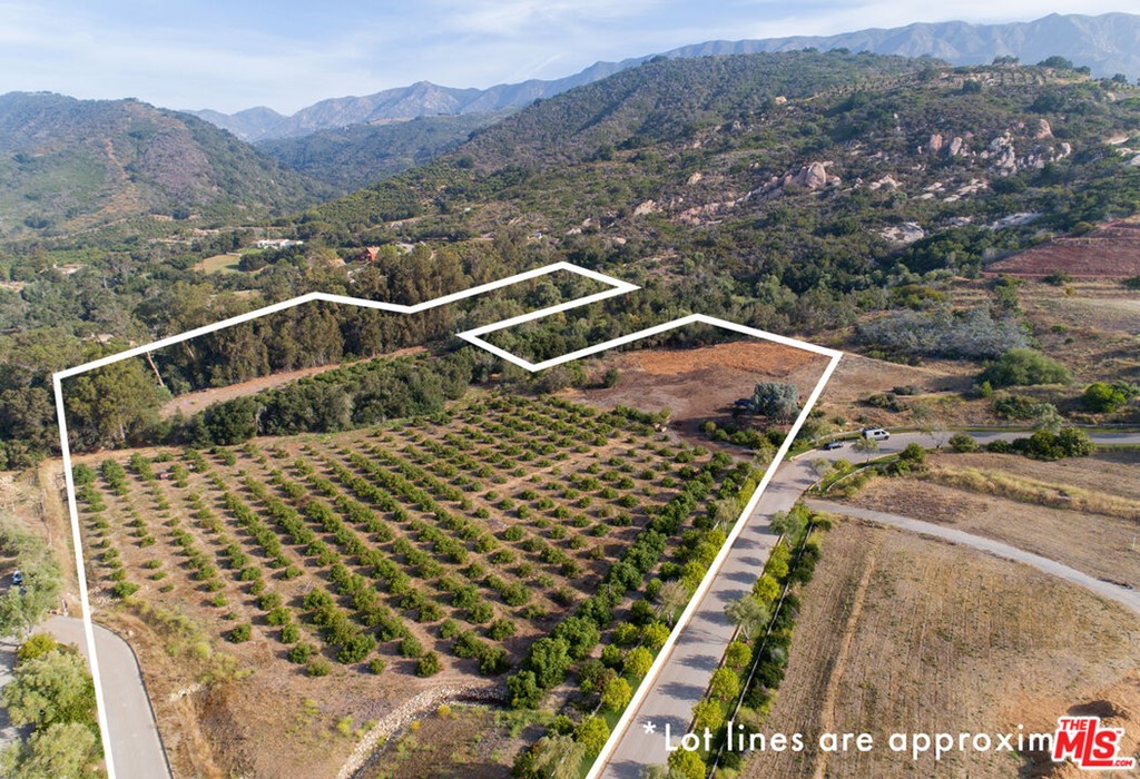 7 Monte Alegre Carpinteria, CA 93013 - Photo 5 of 23 a view of a yard