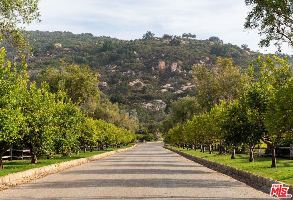 7 Monte Alegre Carpinteria, CA 93013 - Photo 8 of 23 a view of a pathway of a building