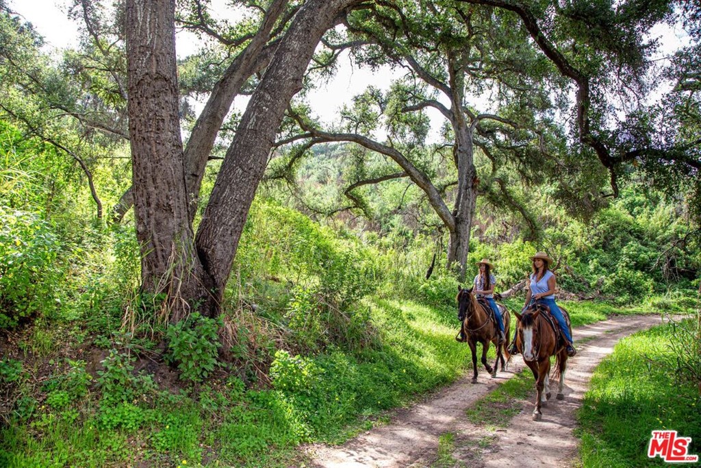 7 Monte Alegre Carpinteria, CA 93013 - Photo 9 of 23