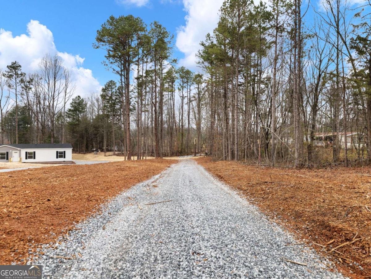 5224 Bogus Road Gainesville, GA 30506 - Photo 32 of 43 a view of backyard space with trees