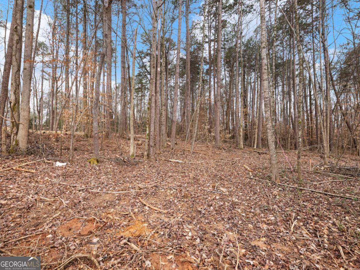 5224 Bogus Road Gainesville, GA 30506 - Photo 40 of 43 a view of room with trees