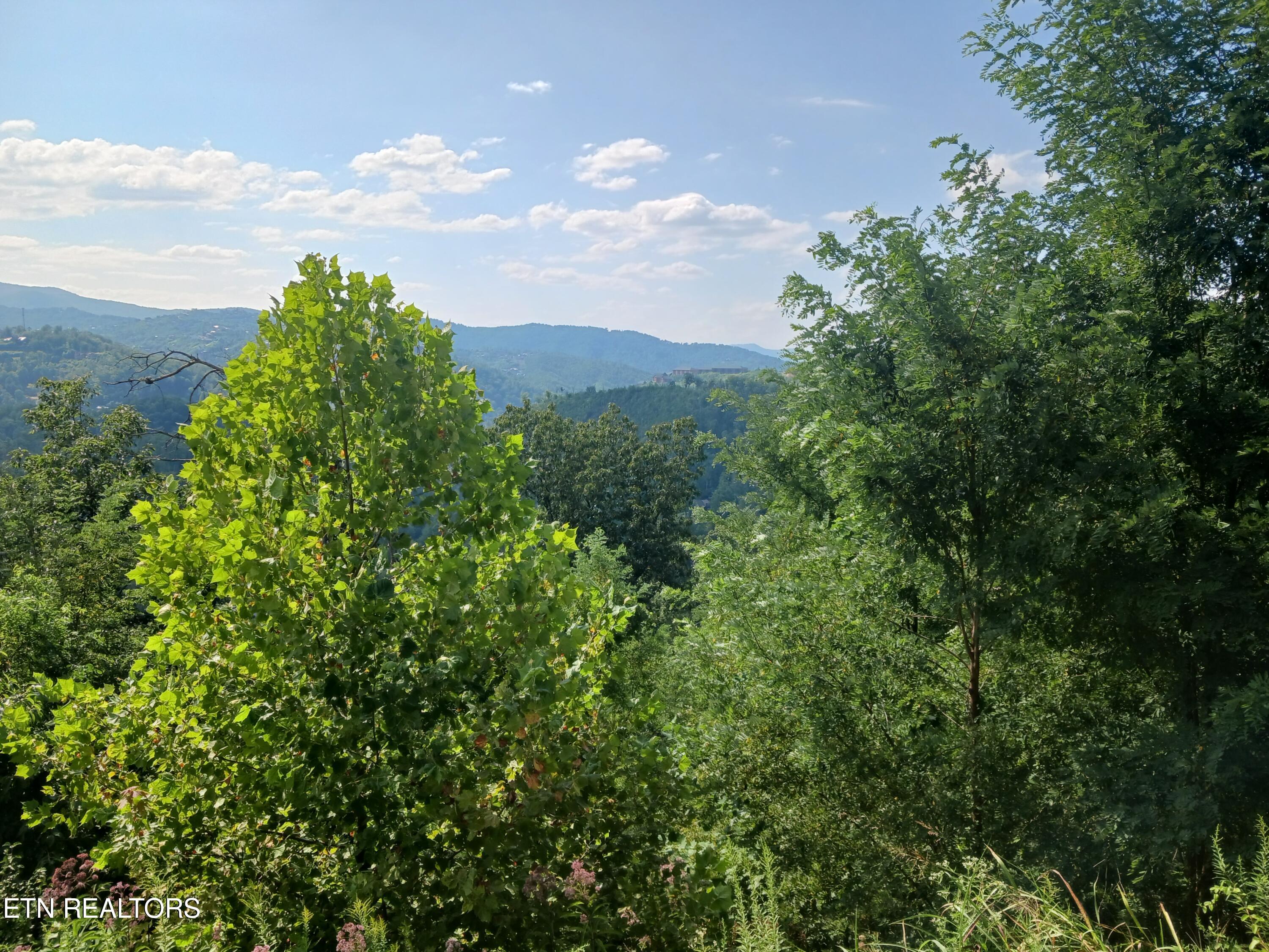 Tower Road Gatlinburg, TN 37738 - Photo 2 of 14 20240823_163330