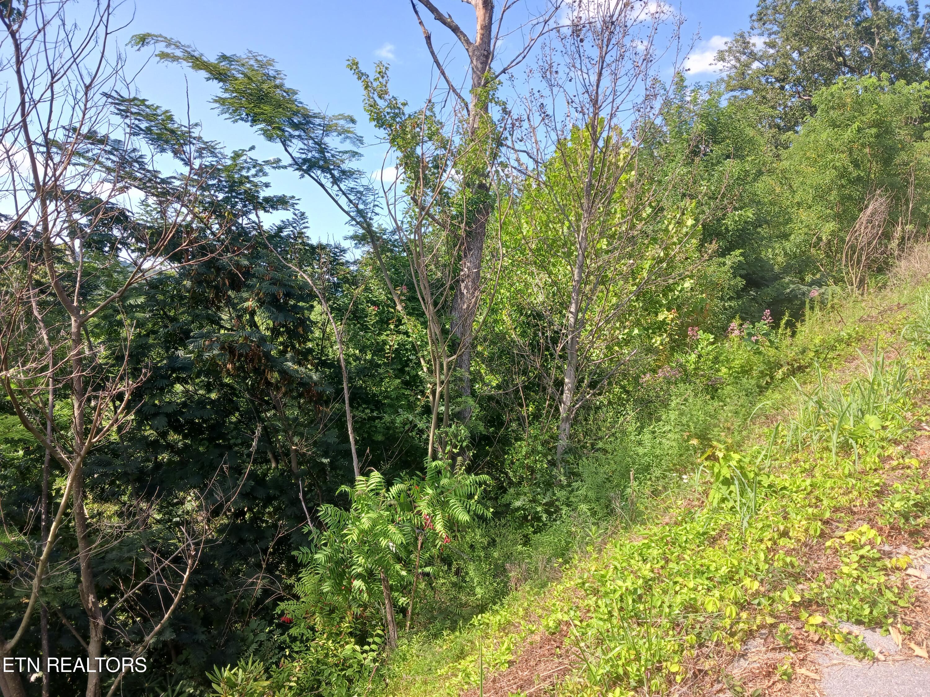 Tower Road Gatlinburg, TN 37738 - Photo 3 of 14 20240823_163414