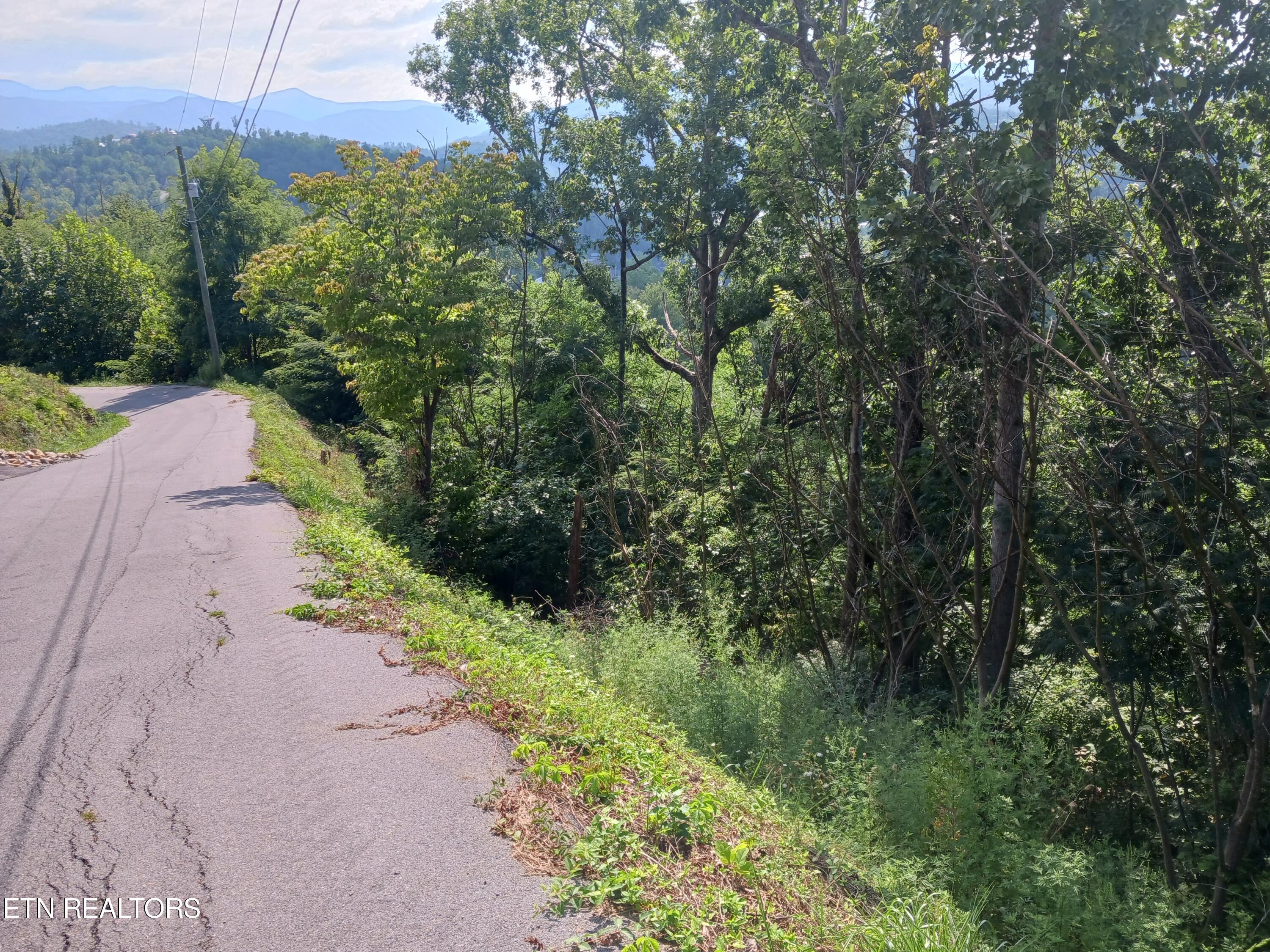 Tower Road Gatlinburg, TN 37738 - Photo 6 of 14 20240823_163405