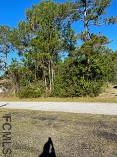 a view of beach and ocean