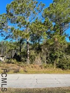 a view of outdoor space with wooden floor