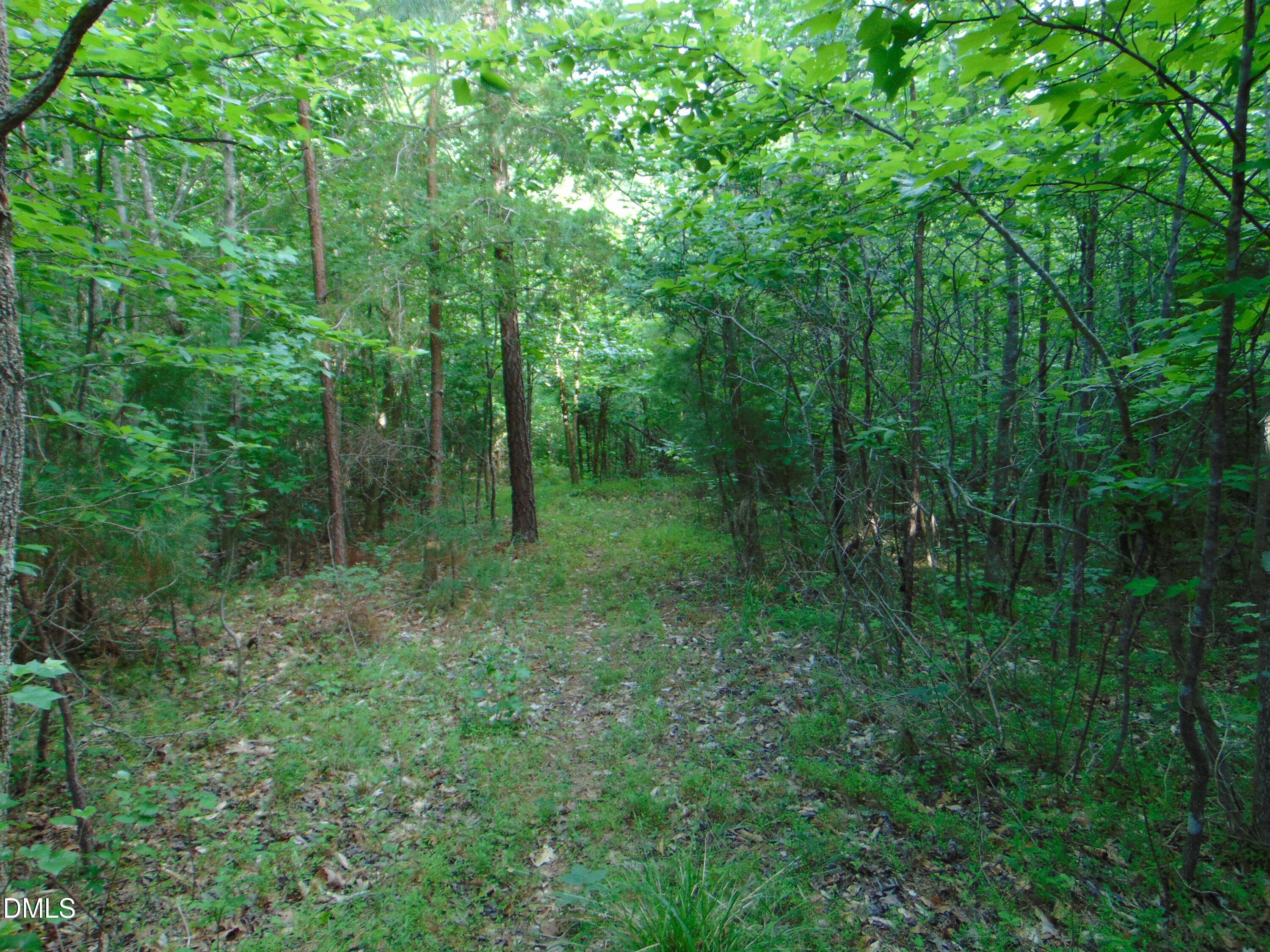 0 Walters Mill Road Providence, NC 27315 - Photo 15 of 22 DSC01572