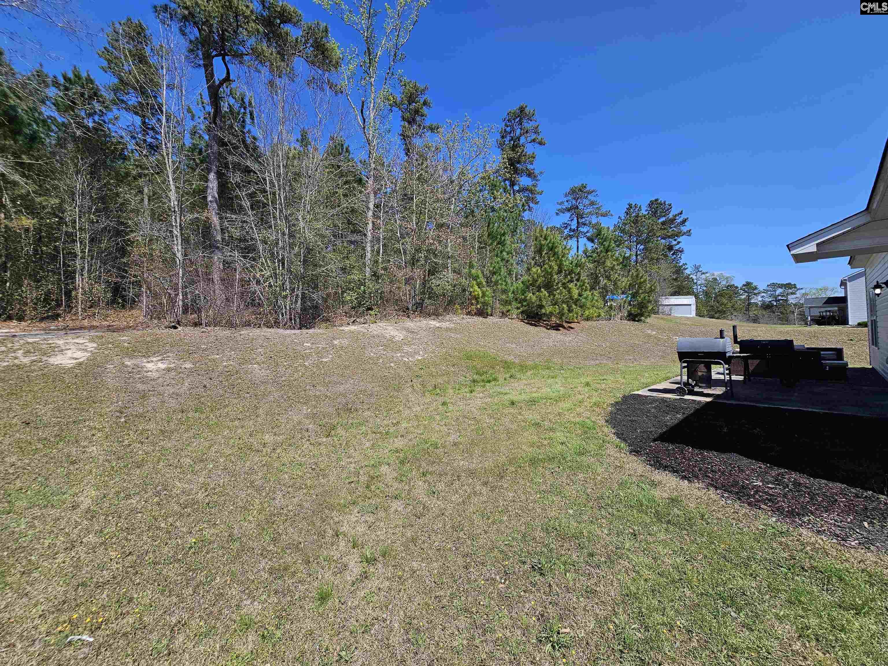 114 Tall Pines Road Gaston, SC 29053 - Photo 33 of 43