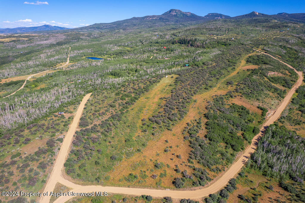 1750 Fiddleneck Drive Craig, CO 81625 - Photo 14 of 16 a view of a forest with mountains in the background