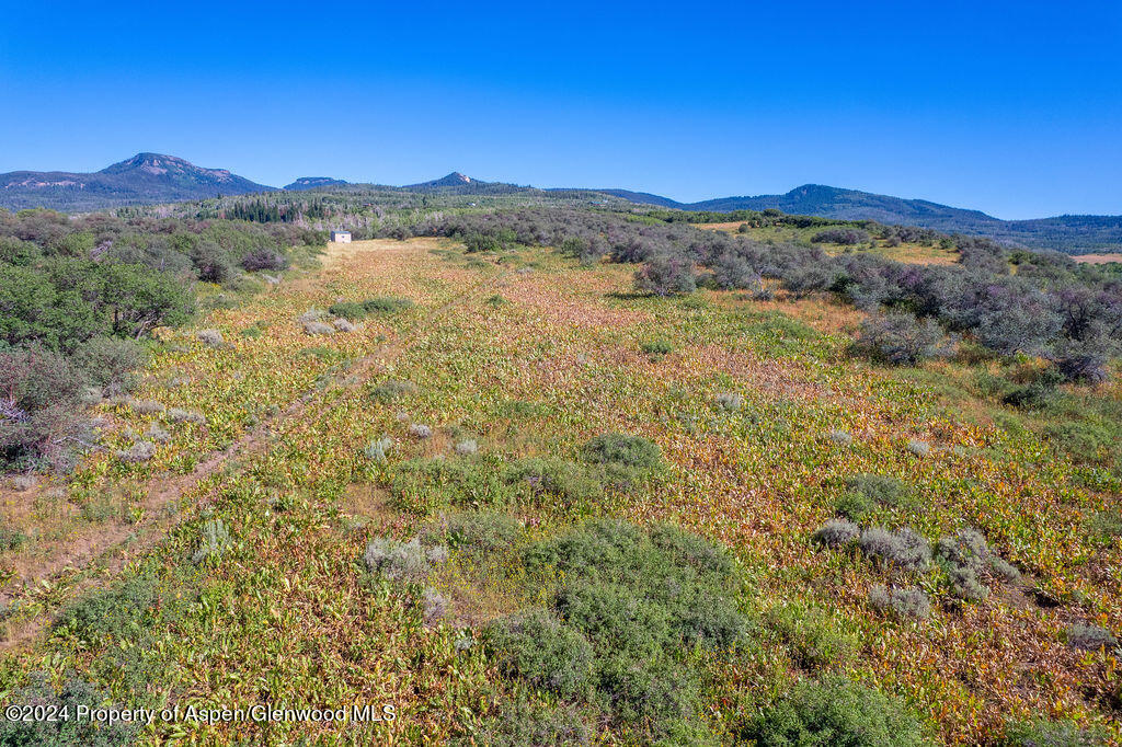 1750 Fiddleneck Drive Craig, CO 81625 - Photo 5 of 16 a view of a forest with mountains in the background