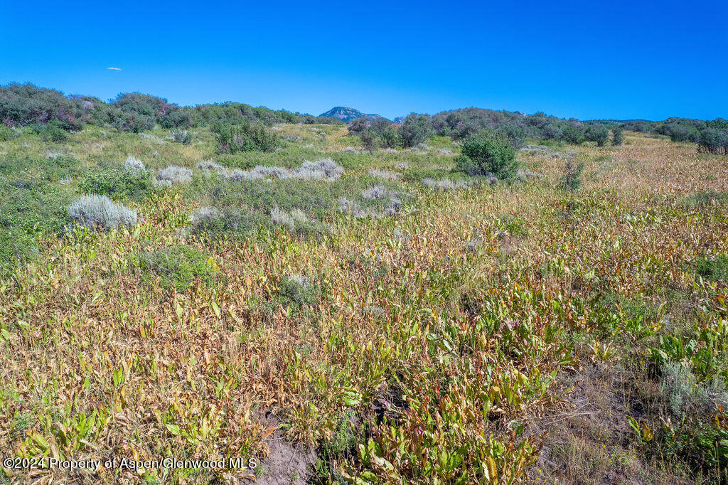 1750 Fiddleneck Drive Craig, CO 81625 - Photo 6 of 16 a view of a mountain range with trees in the background