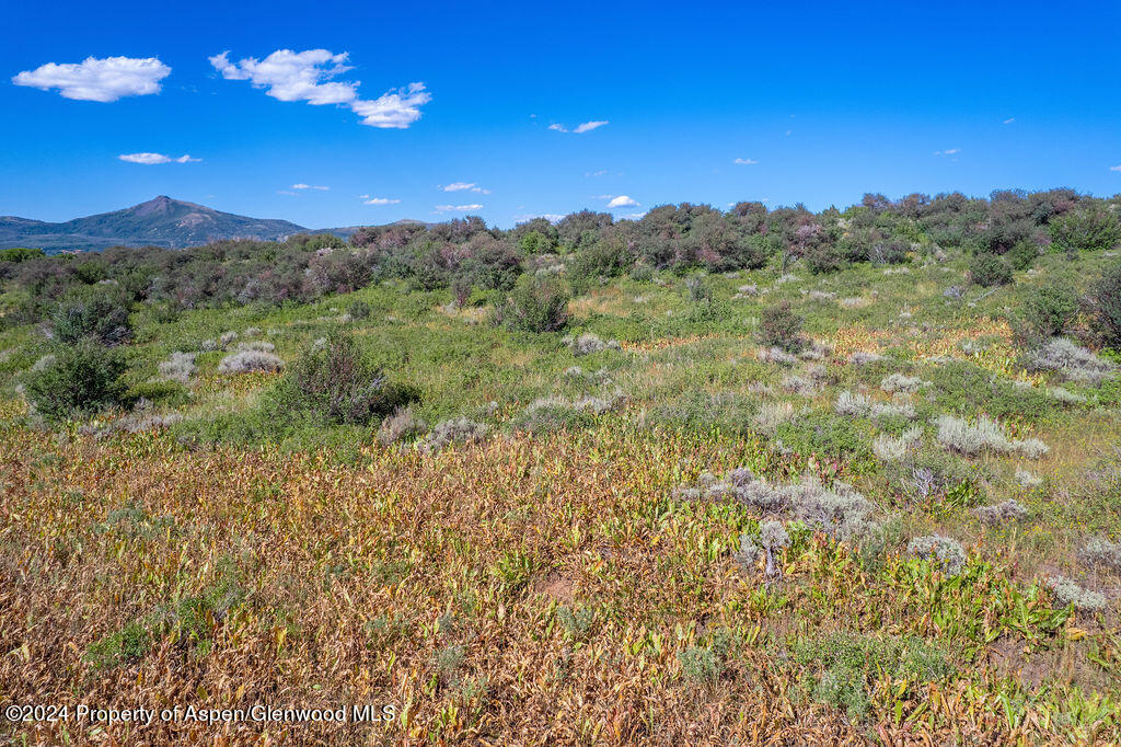 1750 Fiddleneck Drive Craig, CO 81625 - Photo 8 of 16 a view of a yard with a tree