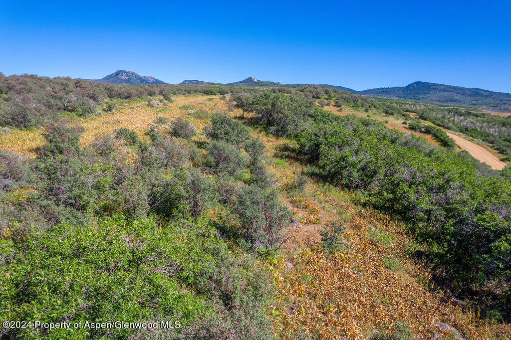 1750 Fiddleneck Drive Craig, CO 81625 - Photo 9 of 16 a view of a mountain range with lush green forest