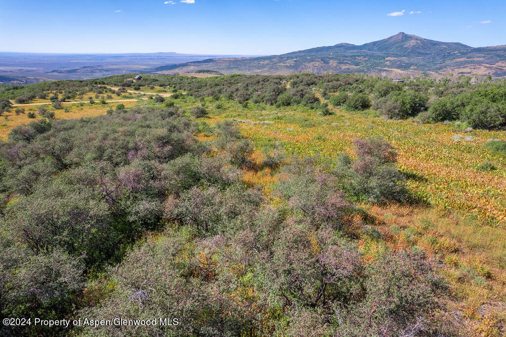 1750 Fiddleneck Drive Craig, CO 81625 - Photo 10 of 16 a view of a lush green hillside and a building