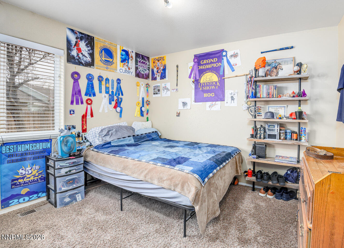 374 Calaway Court Fallon, NV 89406 - Photo 11 of 18 a bedroom with furniture and a book shelf