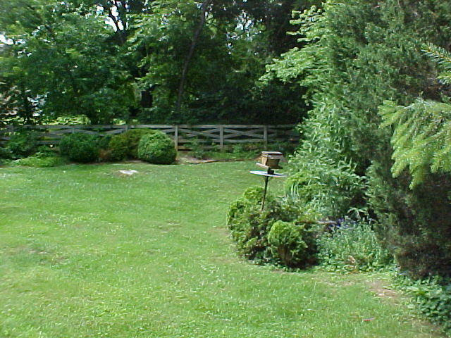 2618 Sharmar Road Roanoke, VA 24018 - Photo 6 of 32 Yard