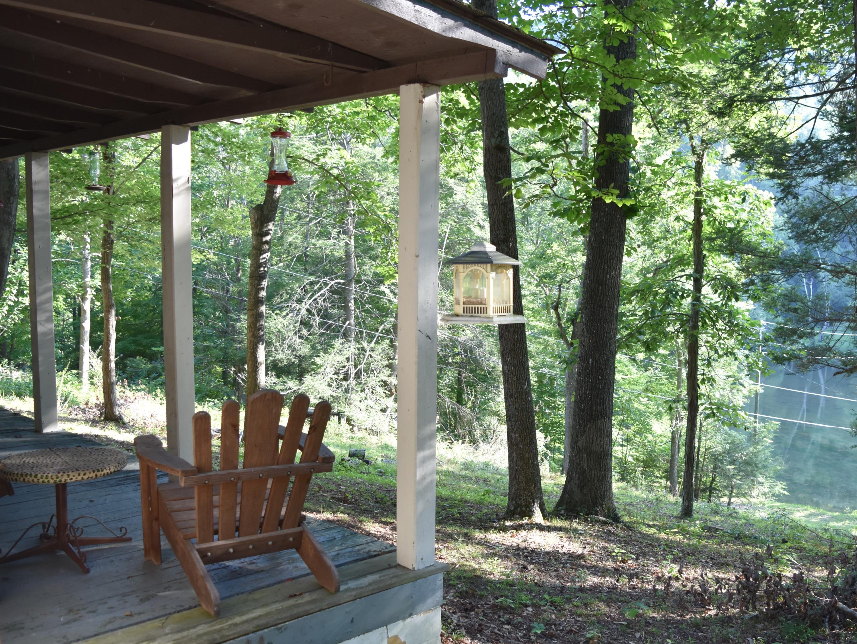 1127 Bacon Falls Road Talcott, WV 24981 - Photo 9 of 66 Gallery Image 9