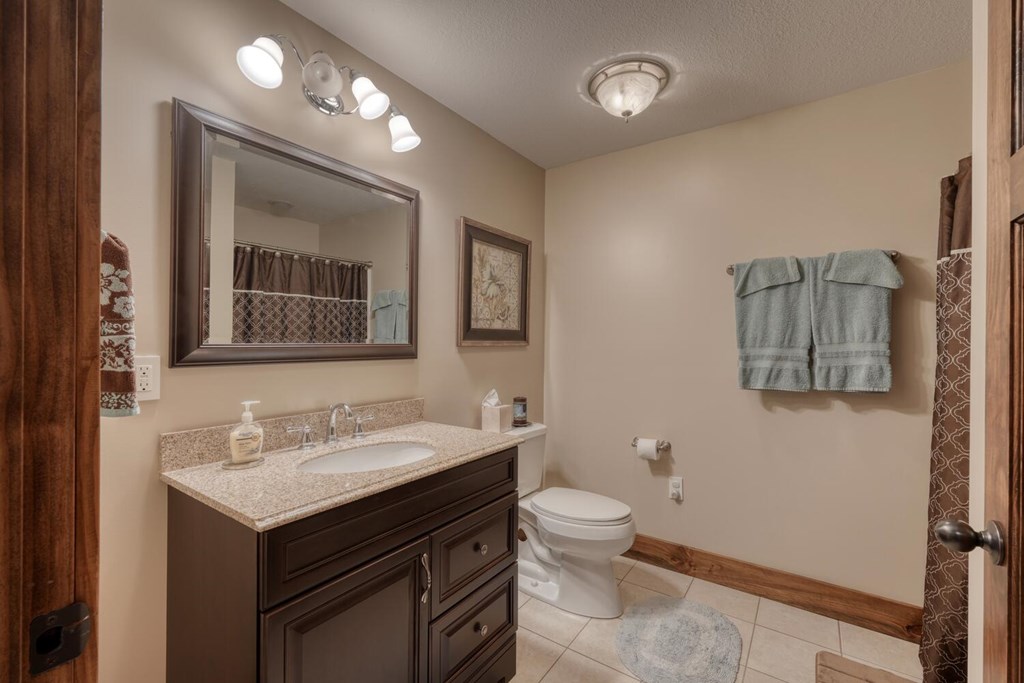 658 Ray Lewis Road Young Harris, GA 30582 - Photo 50 of 91 Basement Bathroom