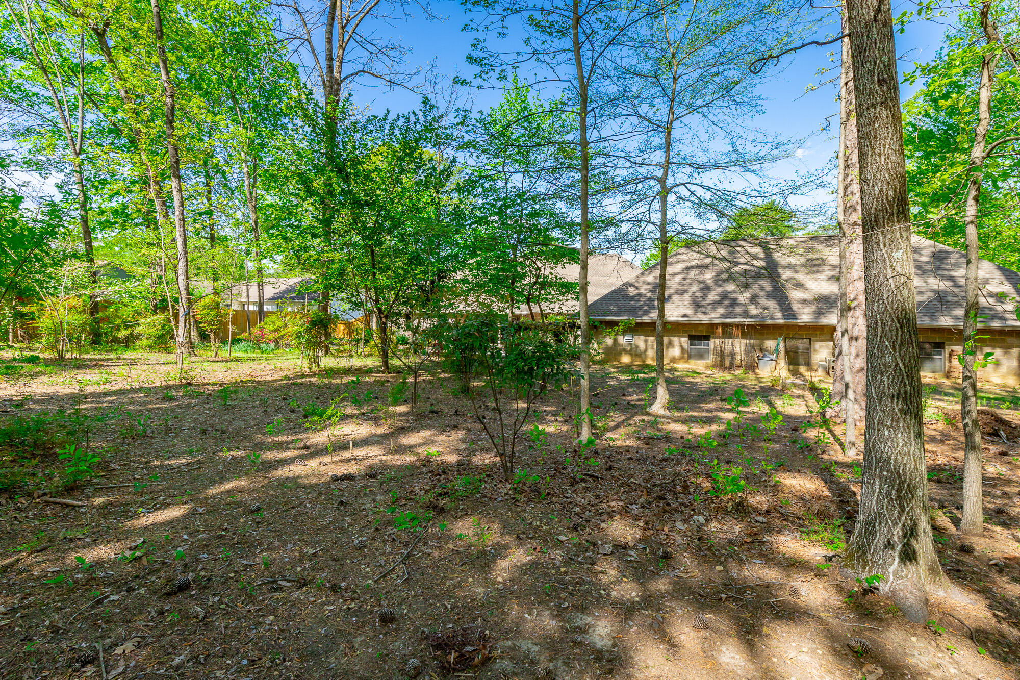 2038 North Concord Road Chattanooga, TN 37421 - Photo 88 of 101 2038 North Concord Road HD-97