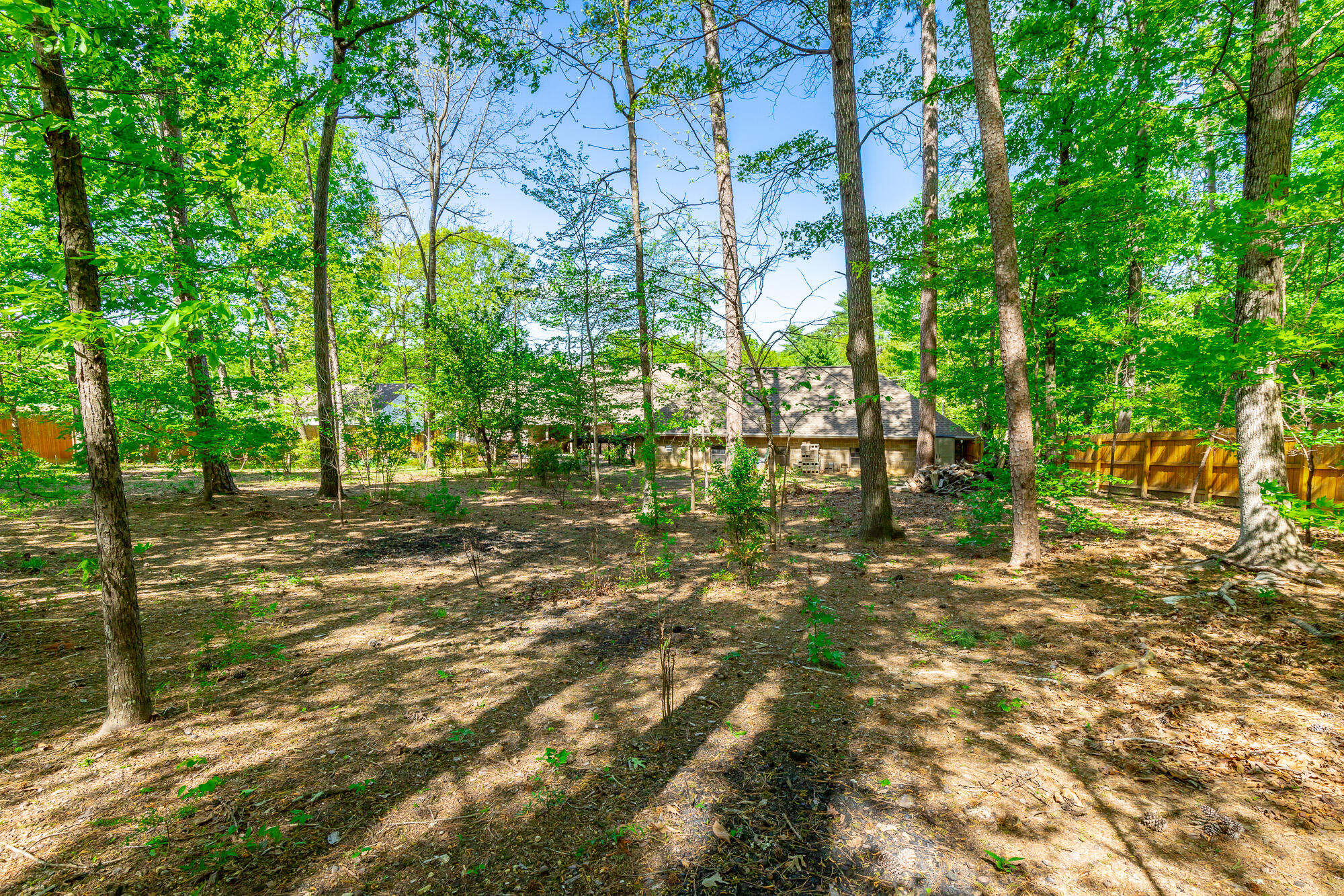 2038 North Concord Road Chattanooga, TN 37421 - Photo 89 of 101 2038 North Concord Road HD-99