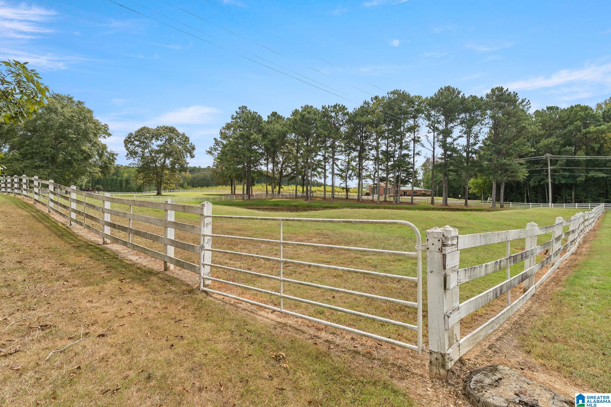 5115 Mays Bend Road Pell City, AL 35128 - Photo 53 of 62 Gallery Image 53