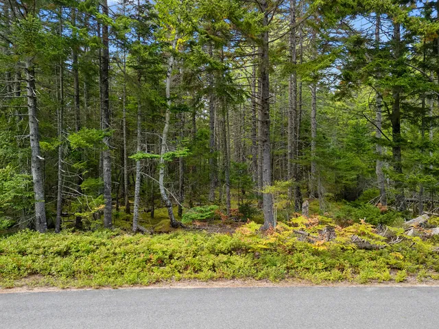 $250,000 | Lot 1 Peninsula Shore Road, Gouldsboro, ME 04624