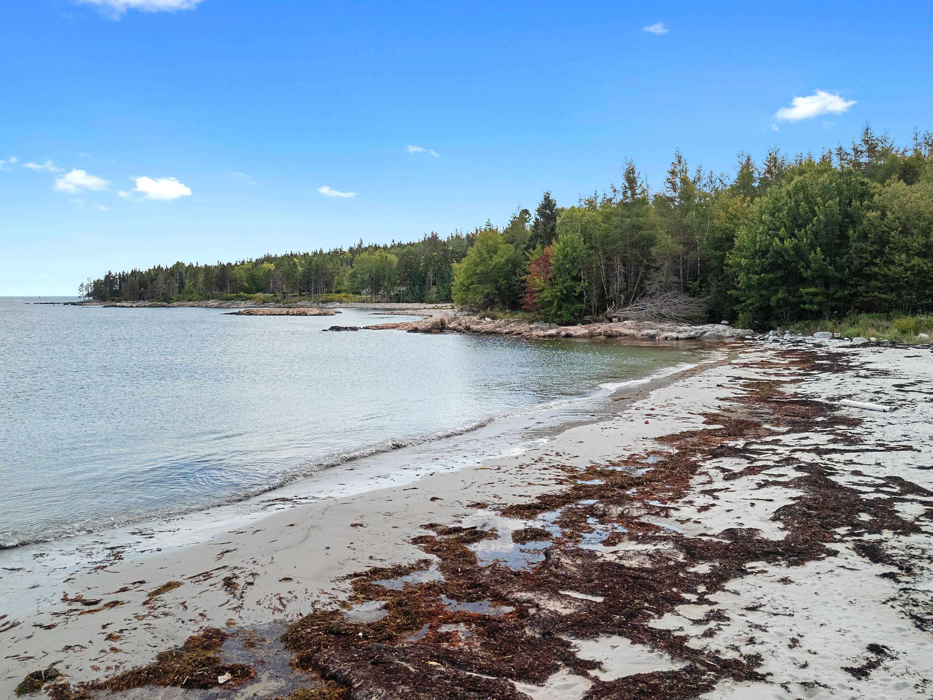 Lot 1 Peninsula Shore Road Gouldsboro, ME 04624 - Photo 14 of 23 Beach frontage