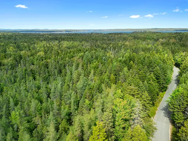 $250,000 | Lot 1 Peninsula Shore Road, Gouldsboro, ME 04624