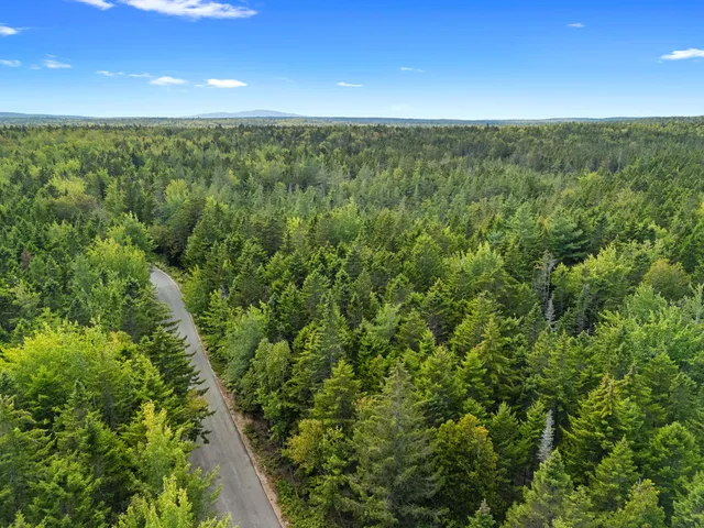 $250,000 | Lot 1 Peninsula Shore Road, Gouldsboro, ME 04624