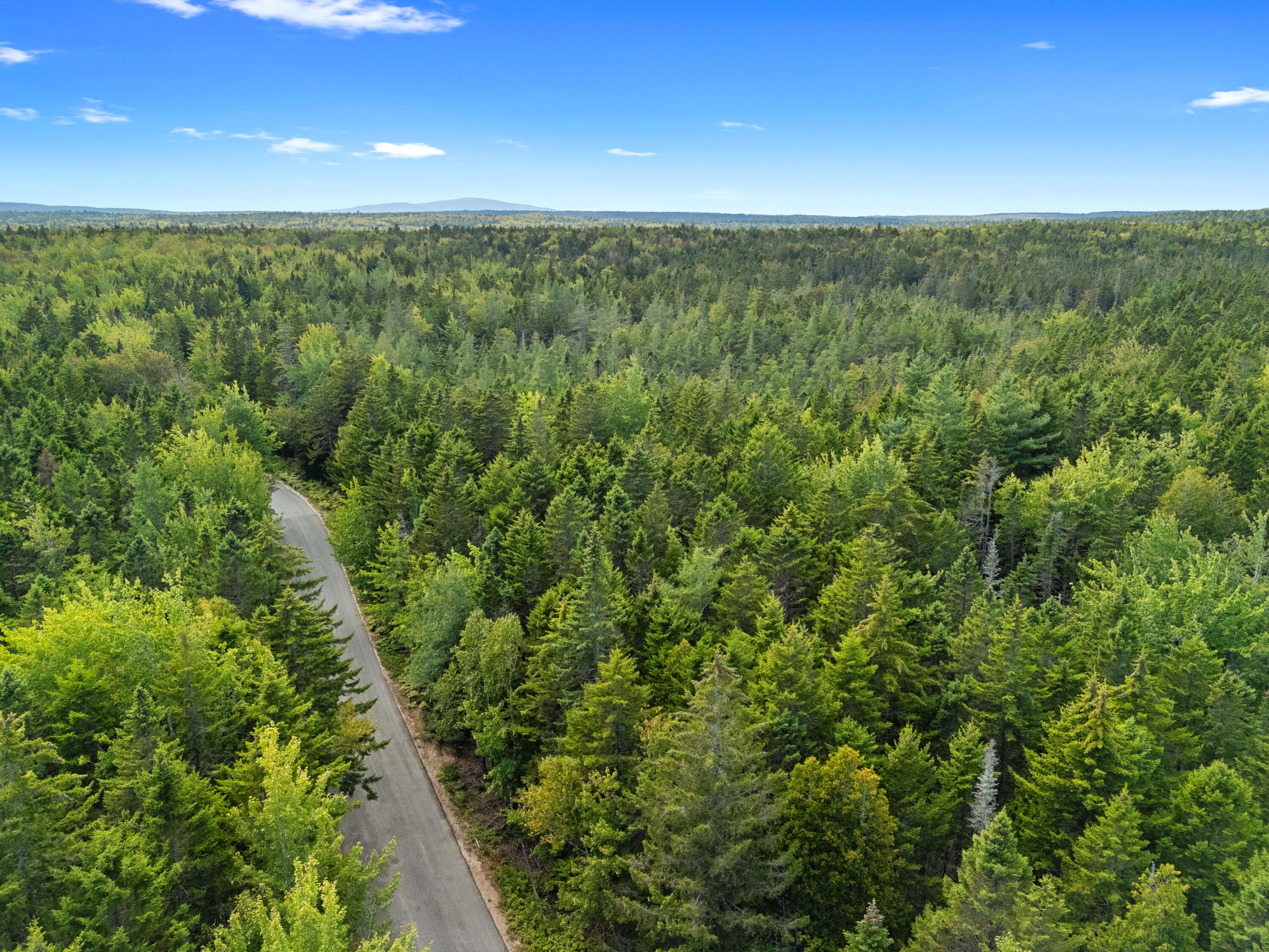 Lot 1 Peninsula Shore Road Gouldsboro, ME 04624 - Photo 20 of 23 Peninsula Road