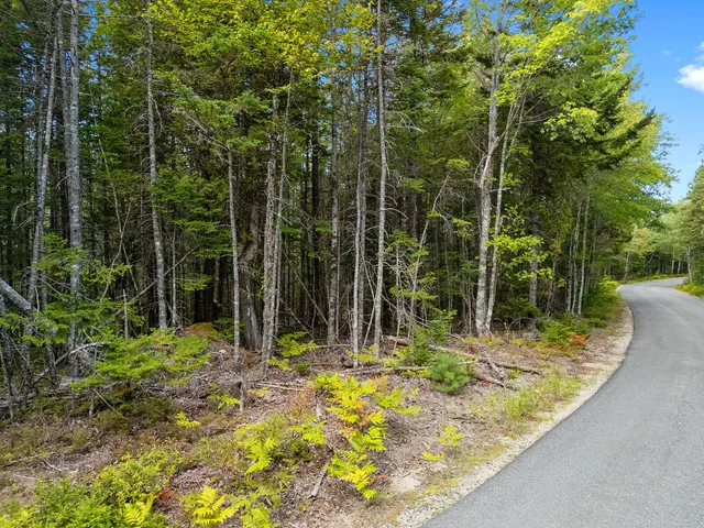 $250,000 | Lot 1 Peninsula Shore Road, Gouldsboro, ME 04624