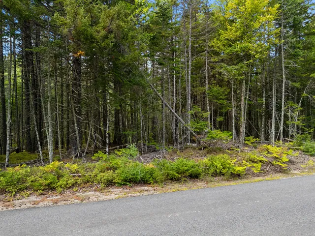 $250,000 | Lot 1 Peninsula Shore Road, Gouldsboro, ME 04624