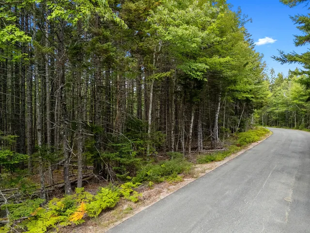 $250,000 | Lot 1 Peninsula Shore Road, Gouldsboro, ME 04624