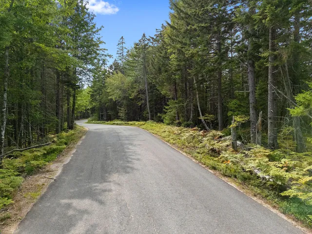 $250,000 | Lot 1 Peninsula Shore Road, Gouldsboro, ME 04624