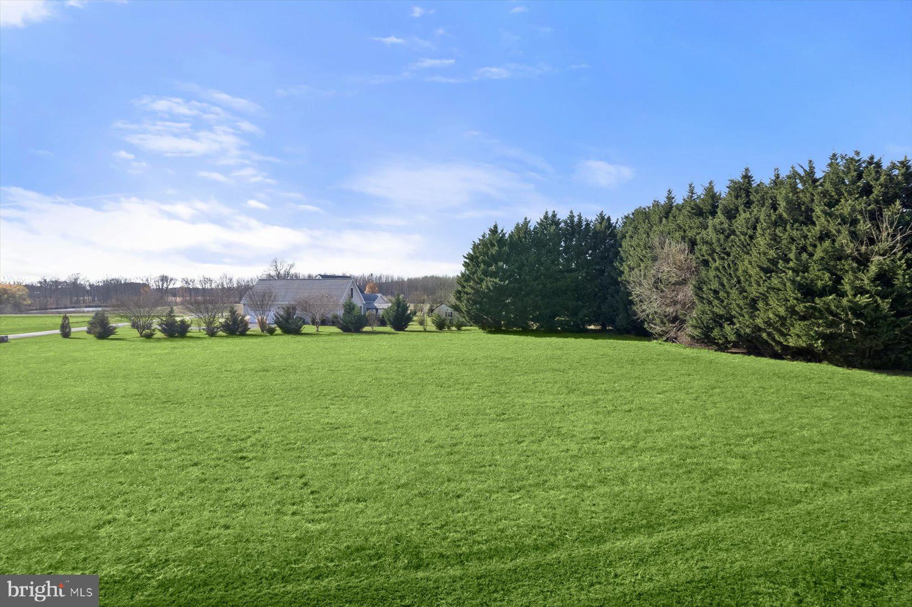 30 Hagy Road Rock Hall, MD 21661 - Photo 42 of 46 a view of an outdoor space and a yard