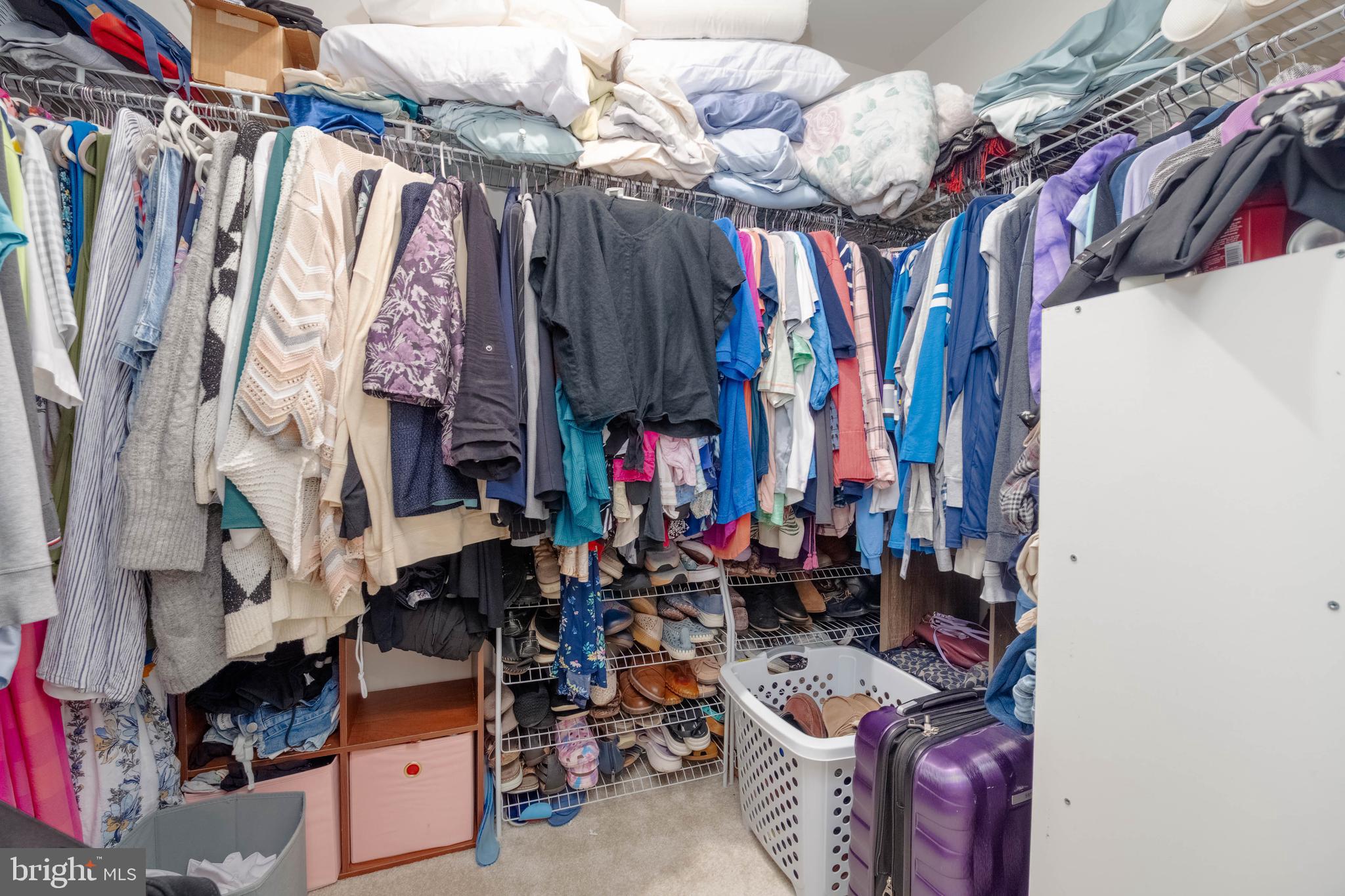 25 Teatree Lane Elkton, MD 21921 - Photo 23 of 38 a view of walk in closet with clothes and shoes