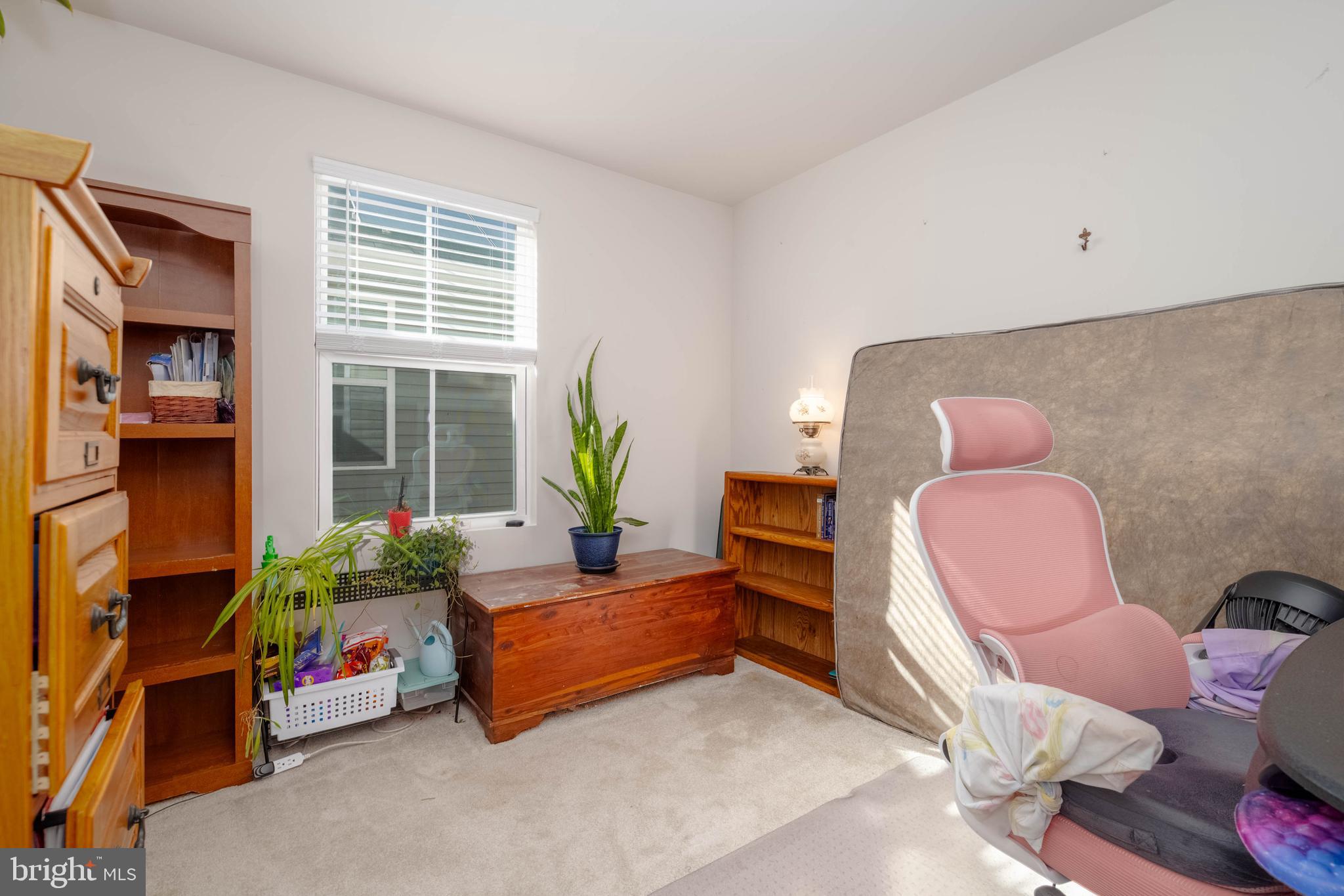 25 Teatree Lane Elkton, MD 21921 - Photo 29 of 38 a living room with furniture and a potted plant