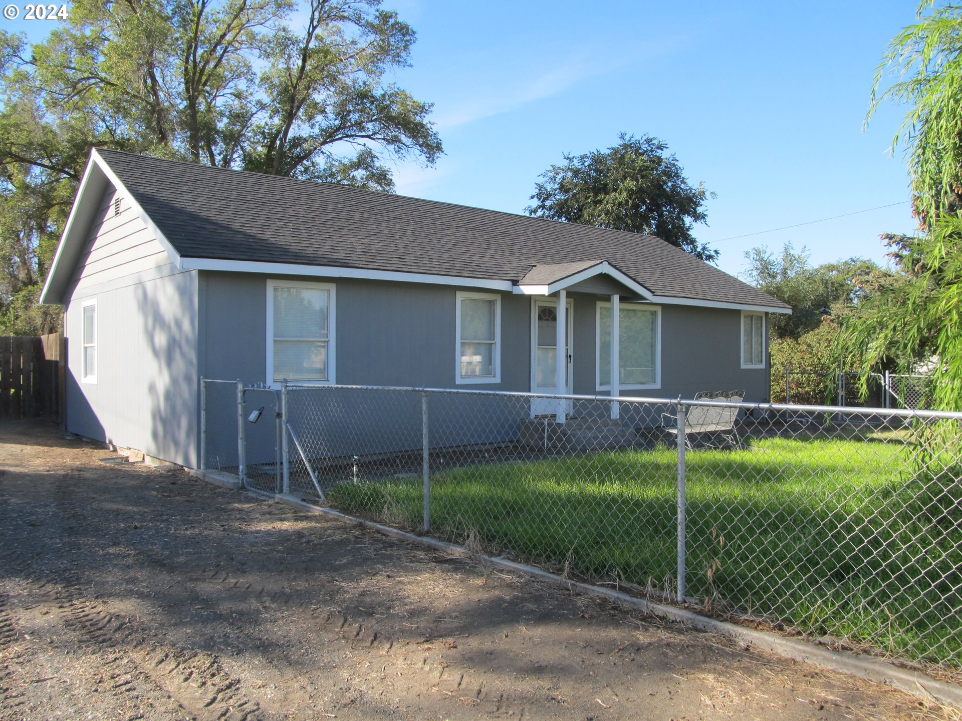 a view of a yard in front of a house with plants and large tree