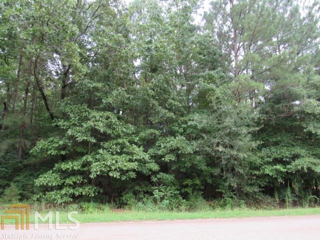 289 Mangham Road Griffin, GA 30224 - Photo 1 of 1