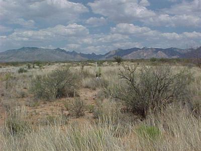 159 East Diamondback Road St. David, AZ 85630 - Photo 2 of 4