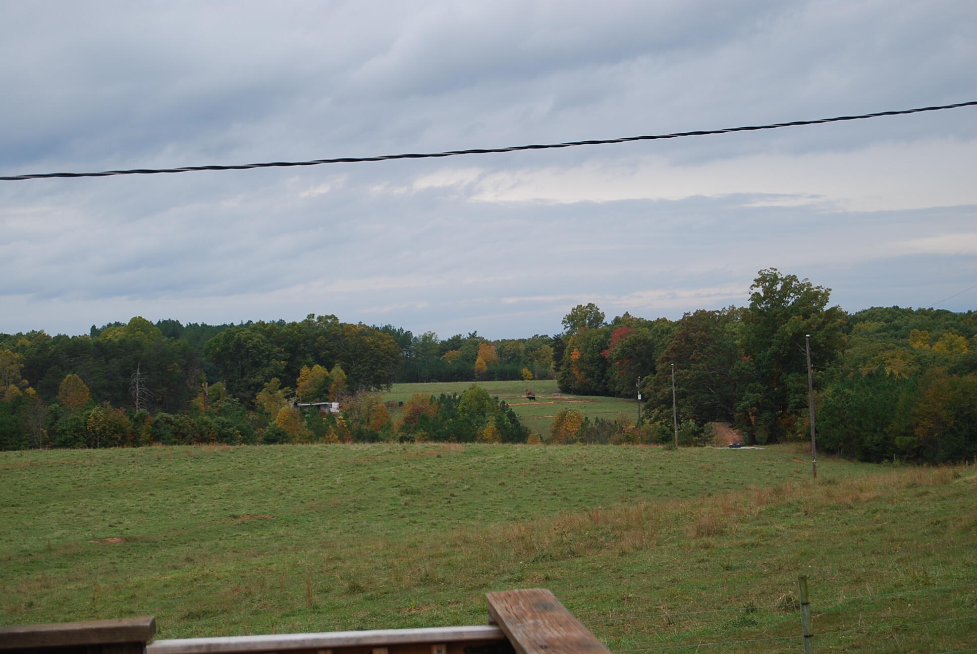 410 Mill Run Road Chatham, VA 24531 - Photo 13 of 34 a view of a field with a tree in the background