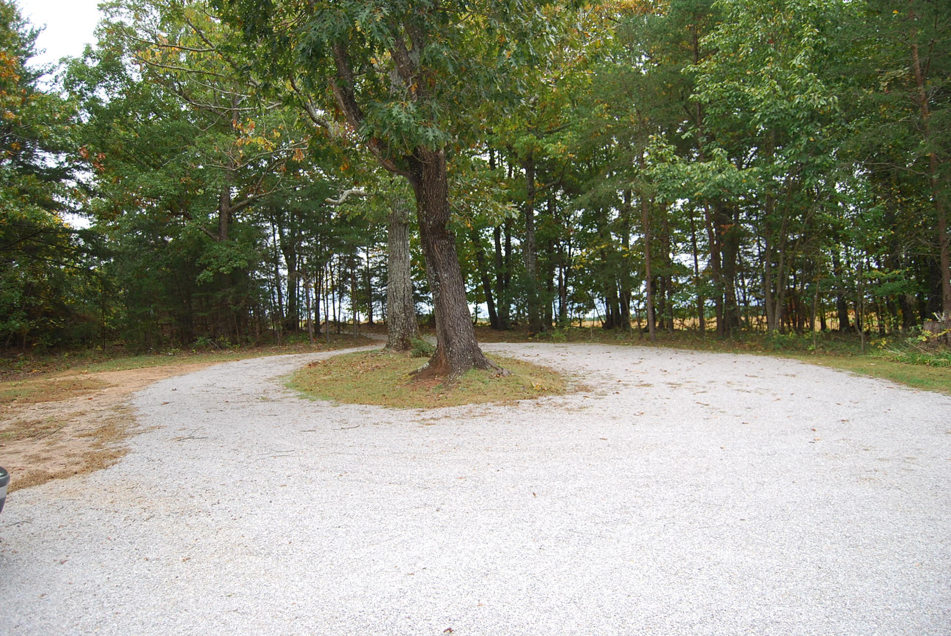 410 Mill Run Road Chatham, VA 24531 - Photo 4 of 34 a view of yard with trees