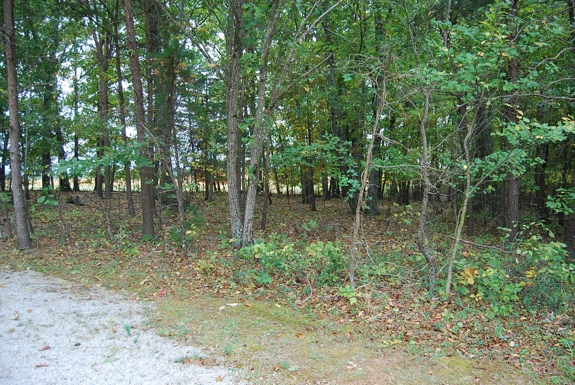 410 Mill Run Road Chatham, VA 24531 - Photo 6 of 34