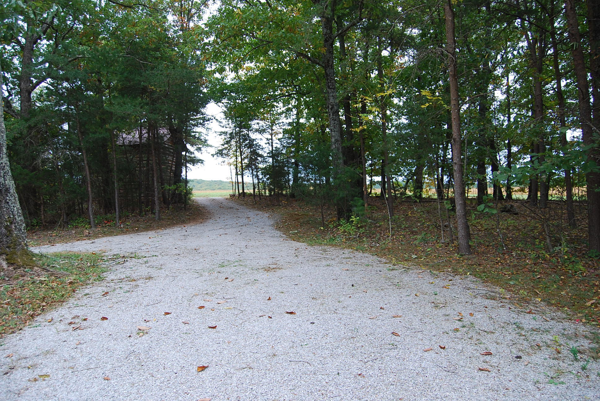 410 Mill Run Road Chatham, VA 24531 - Photo 7 of 34 a backyard of a house with lots of green space